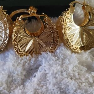 Elegant Gold Hoop Earrings